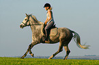 woman rides arabian horse