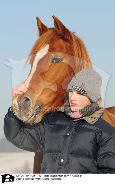 young woman with Arabo-Haflinger / AP-04499