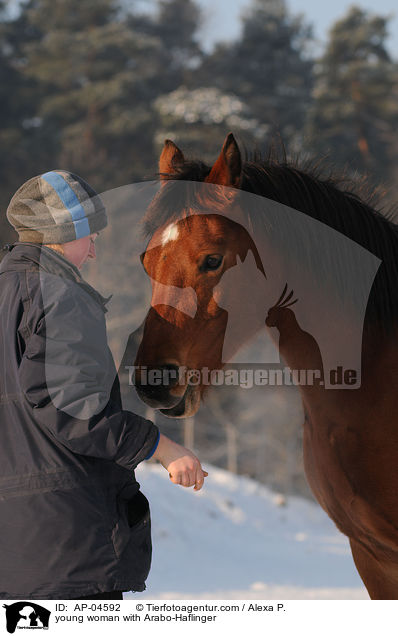 young woman with Arabo-Haflinger / AP-04592