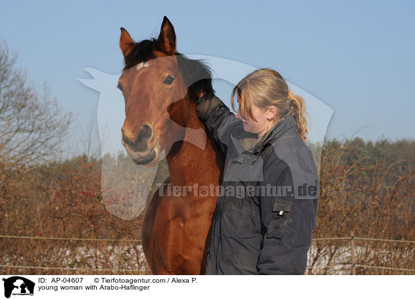 young woman with Arabo-Haflinger / AP-04607