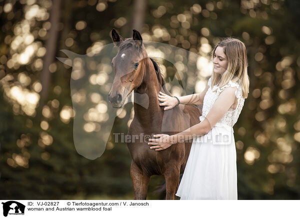 Frau und sterreichisches Warmblut Fohlen / woman and Austrian warmblood foal / VJ-02827