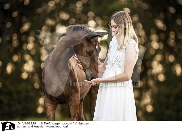 woman and Austrian warmblood foal / VJ-02829