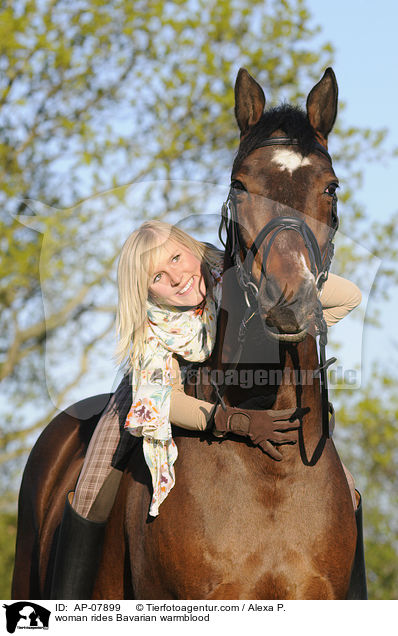 Frau reitet Bayerisches Warmblut / woman rides Bavarian warmblood / AP-07899