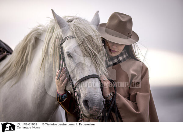 Camargue-Pferd / Camargue Horse / IFE-01639