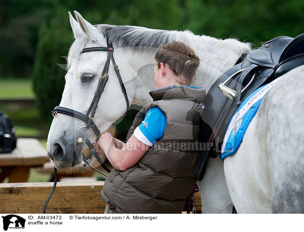 auftrensen / snaffle a horse / AM-03472