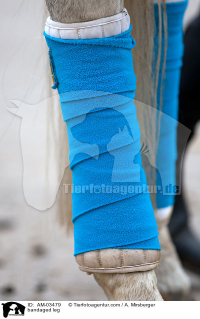 bandaged leg / AM-03479