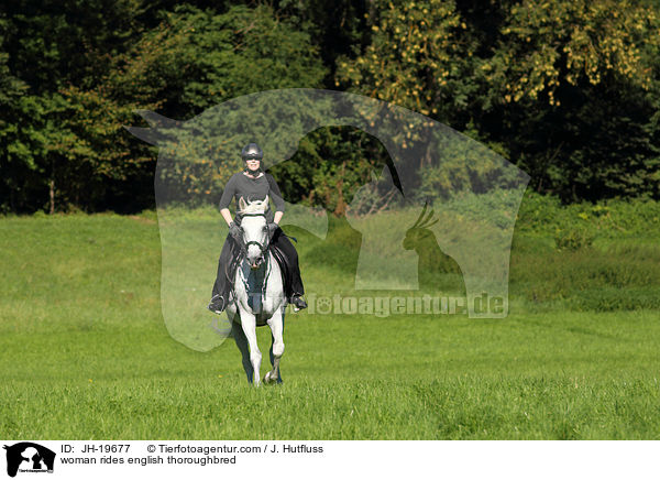 woman rides english thoroughbred / JH-19677