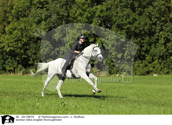 Frau reitet Englisches Vollblut / woman rides english thoroughbred / JH-19679