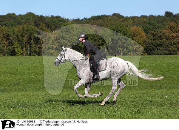 Frau reitet Englisches Vollblut / woman rides english thoroughbred / JH-19688