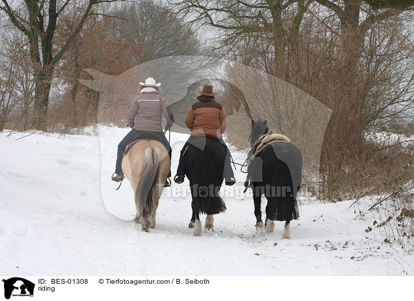 Westernreiten / riding / BES-01308