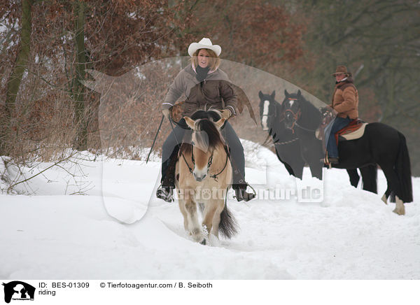 Westernreiten / riding / BES-01309