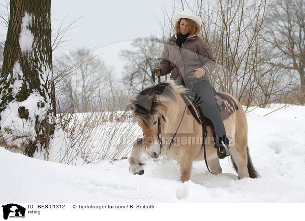 Westernreiten / riding / BES-01312