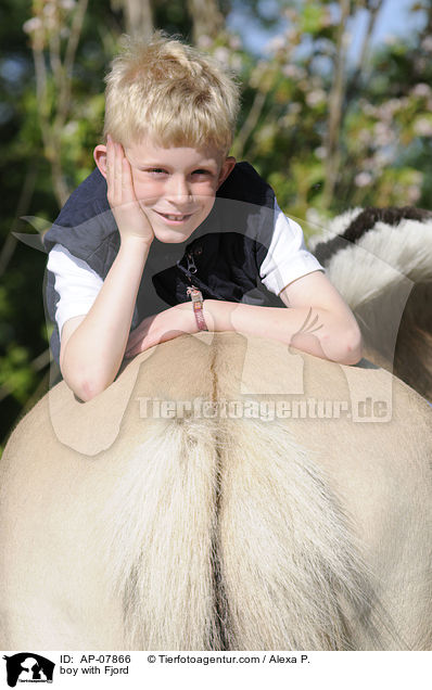 Junge mit Fjordpferd / boy with Fjord / AP-07866