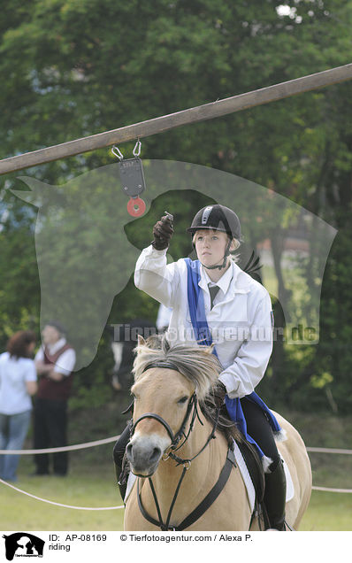 Ringreiten / riding / AP-08169