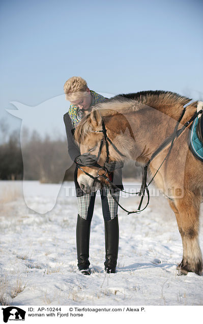 Frau mit Fjordpferd / woman with Fjord horse / AP-10244