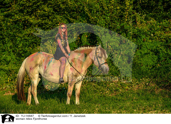 Frau reitet Fjordpferd / woman rides Fjordhorse / YJ-14687