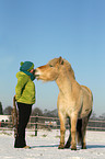 human and Fjord horse