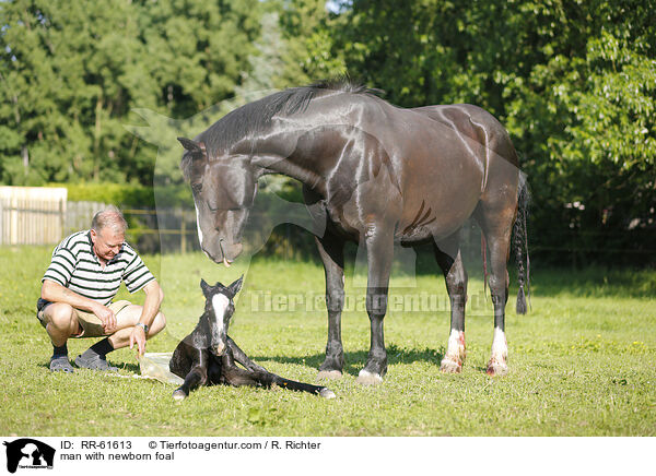 Mann mit neugeborenem Fohlen / man with newborn foal / RR-61613