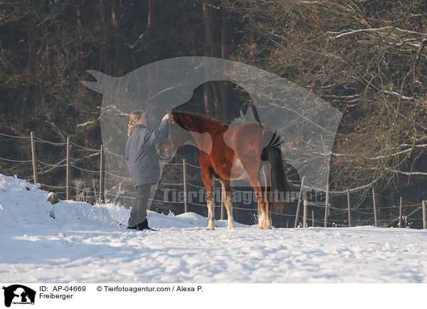 Freiberger / Freiberger / AP-04669