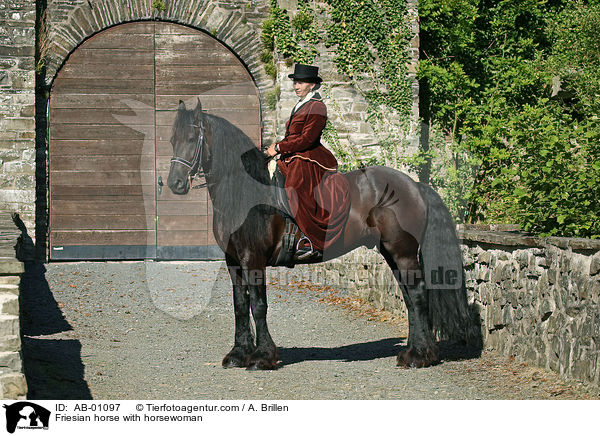 Friese und Reiterin / Friesian horse with horsewoman / AB-01097