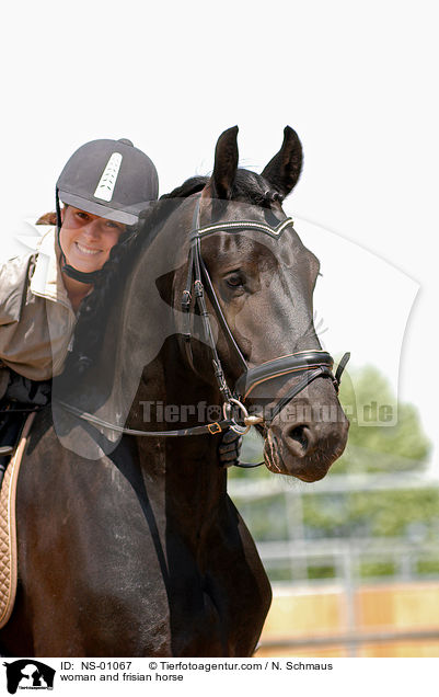 woman and frisian horse / NS-01067