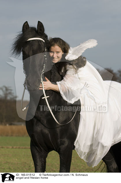 Engel und Friese / angel and friesian horse / NS-01512