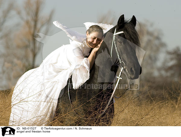 Engel und Friese / angel and friesian horse / NS-01527