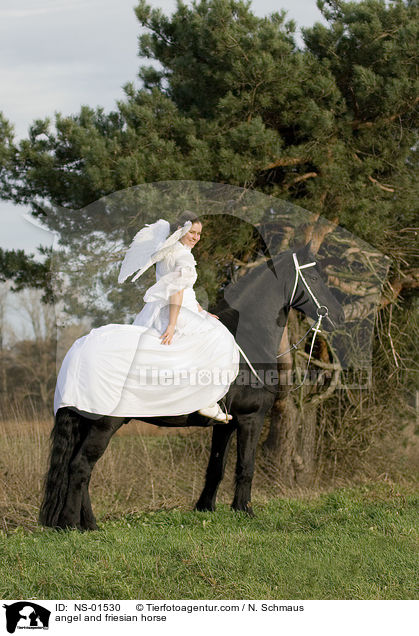 Engel und Friese / angel and friesian horse / NS-01530