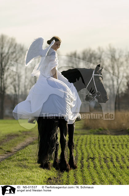 Engel und Friese / angel and friesian horse / NS-01537