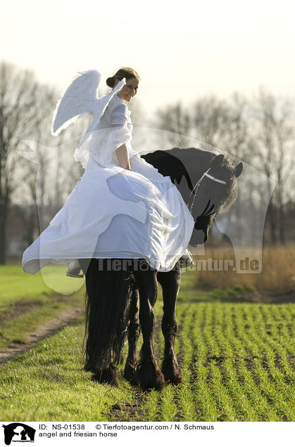 Engel und Friese / angel and friesian horse / NS-01538