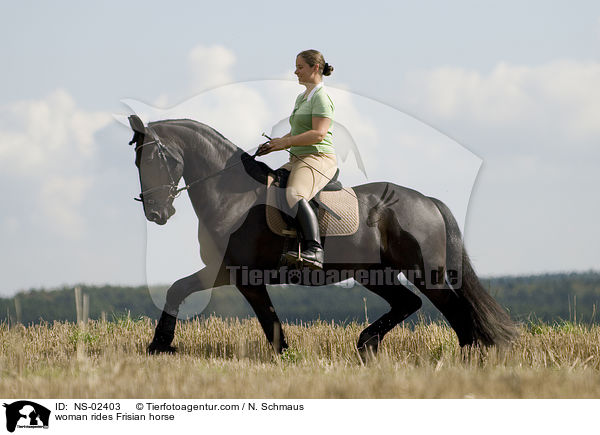 Frau reitet Friese / woman rides Frisian horse / NS-02403