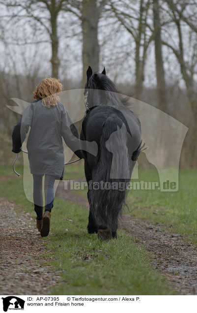 Frau und Friese / woman and Frisian horse / AP-07395