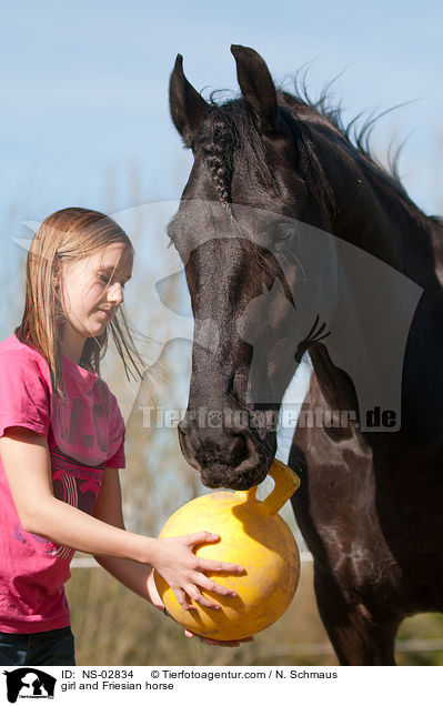 Mdchen und Friese / girl and Friesian horse / NS-02834