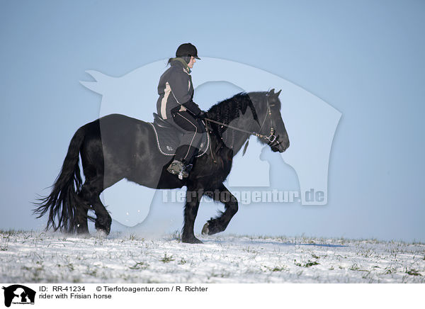 Reiter mit Friese / rider with Frisian horse / RR-41234