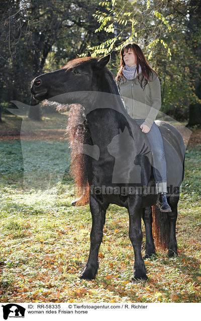 woman rides Frisian horse / RR-58335