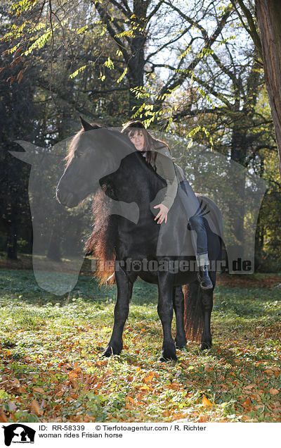 Frau reitet Friese / woman rides Frisian horse / RR-58339