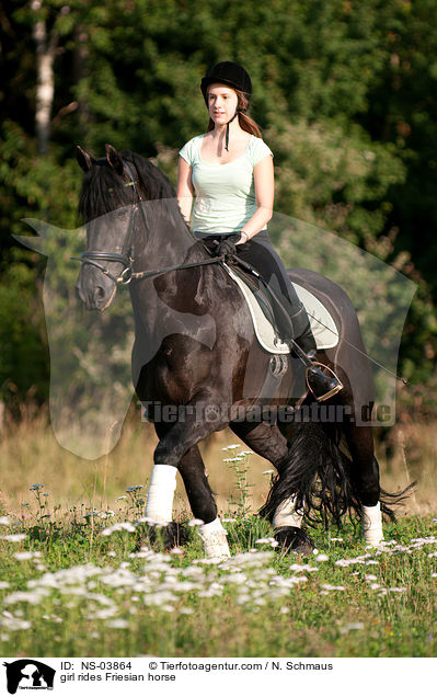 Mdchen reitet Friese / girl rides Friesian horse / NS-03864