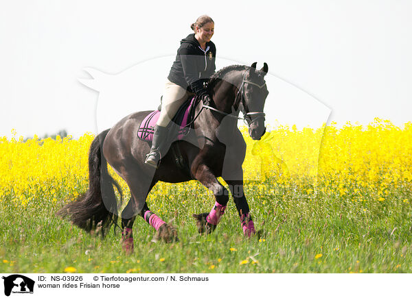 Frau reitet Friese / woman rides Frisian horse / NS-03926