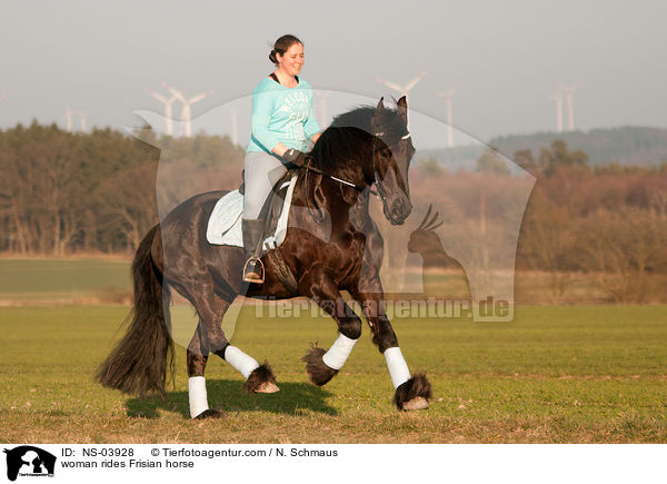 Frau reitet Friese / woman rides Frisian horse / NS-03928