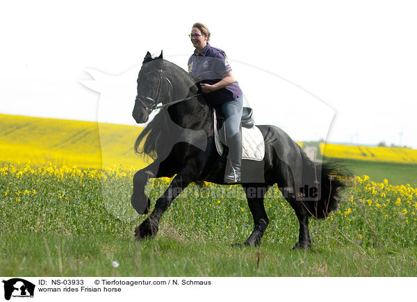 Frau reitet Friese / woman rides Frisian horse / NS-03933