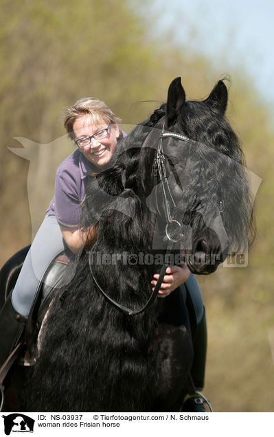 Frau reitet Friese / woman rides Frisian horse / NS-03937