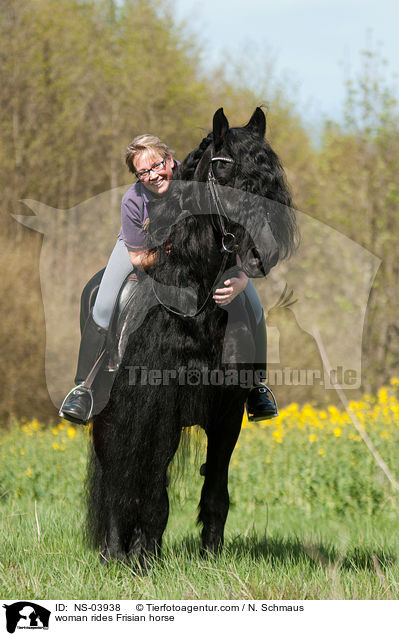 Frau reitet Friese / woman rides Frisian horse / NS-03938