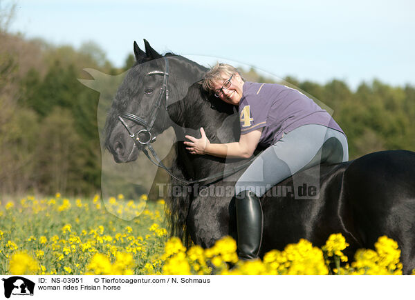 woman rides Frisian horse / NS-03951