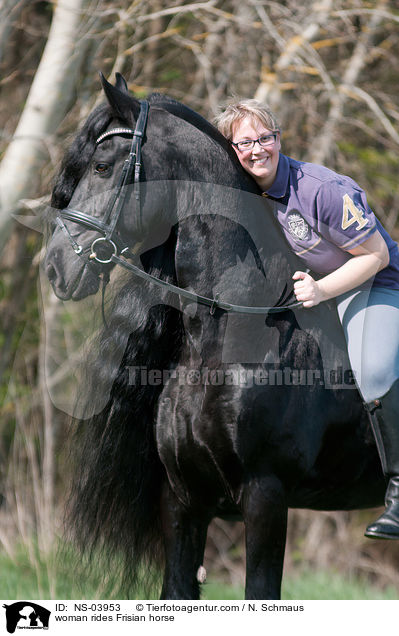 Frau reitet Friese / woman rides Frisian horse / NS-03953