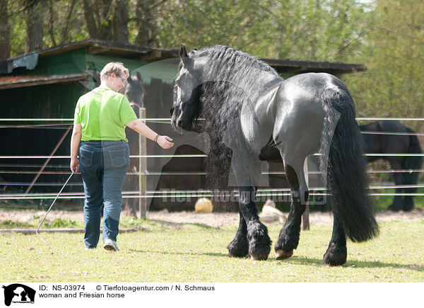 woman and Friesian horse / NS-03974