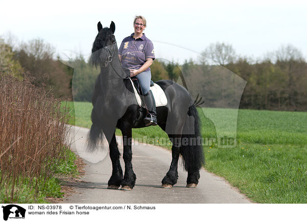 woman rides Frisian horse / NS-03978