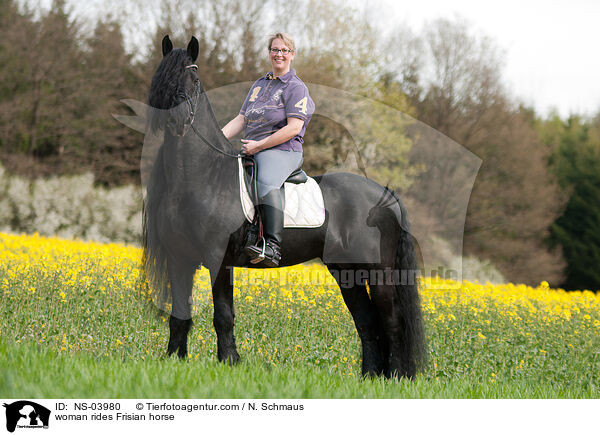 Frau reitet Friese / woman rides Frisian horse / NS-03980