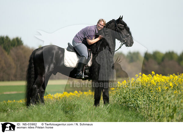 Frau reitet Friese / woman rides Frisian horse / NS-03982