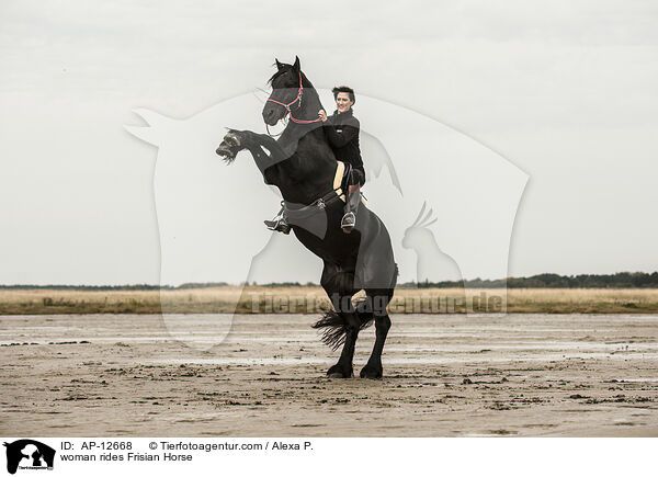 woman rides Frisian Horse / AP-12668