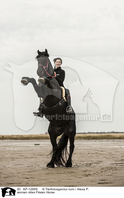 woman rides Frisian Horse / AP-12669